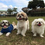 10809696_1636584586569169_1573493941_a