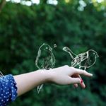 11375378_391734427702629_356507707_a