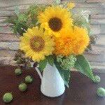 10914627_1432826443674413_425575791_a