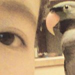 11809872_461765744002427_1897702787_a