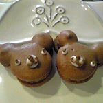 11426456_106888412994037_1149013416_a