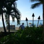 11850381_442631915940230_1026927584_a