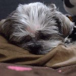 11254569_913844411987760_1325666586_a