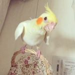 12145578_422058484653012_451072969_a