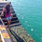 10844230_1391230757839530_1125367931_a