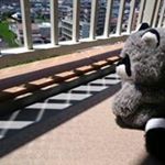 11313214_406734359530939_1927495739_a