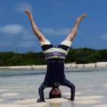 11244433_675200202579443_260231665_a