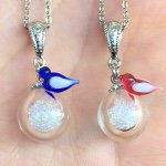 11251647_1453373838323167_40799462_a