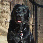 10844017_502649583207565_1739731212_a