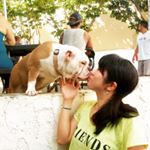 11934882_529629700520399_1568923762_a