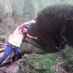 11372355_1510322999278948_1916297049_a