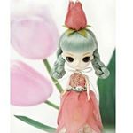 12120265_429458670572419_924701951_a