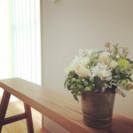 10748237_1540148176223546_554606718_a