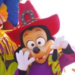 12141961_790710581051795_1775978110_a