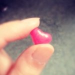 925271_237419603119347_632258496_a