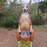 12224655_773415076121203_572272686_a