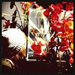 12106136_1637672796510575_792218241_a