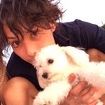 12145199_894485070642086_1101926571_a