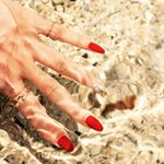 11850129_540199546131568_309859799_a