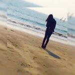 11950618_449826315209841_626500608_a