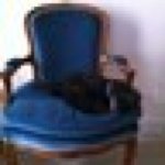 11350798_1645390472372337_65747175_a