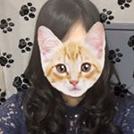 12256674_506633082830417_516601923_a