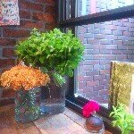 11376222_1481161415515793_1588613490_a