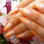 11875384_730471630415637_1347640224_a