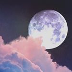 11887255_720815048022624_1306776437_a