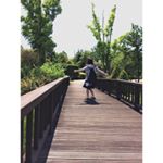 12362206_771818382945572_1126860720_a