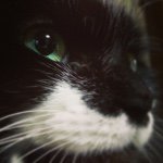 11142330_387947998056325_1044243261_a