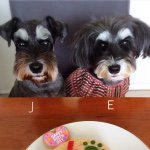 11282303_1610527809189851_1710672551_a