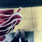 12256738_902652053150656_1968717451_a