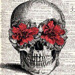 10919510_1581503655428960_1307834584_a