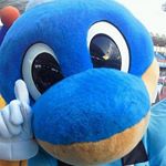 12080456_1765189190375127_803176802_a