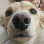 10808418_877865942290851_1136161279_a