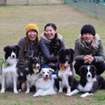 12292710_1641878249405516_93617131_a