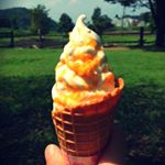 12331623_971437616248756_685012706_a