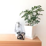 11251998_934056863322867_1280380058_a