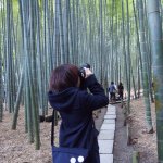 11428191_1144878978861348_619849745_a