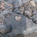 11055476_1595368614014387_1648167807_a