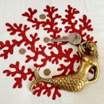 11821817_139020329777260_168433110_a