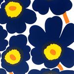 11426360_1587780288149041_1308013344_a