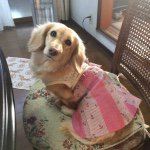 10986240_811605058888838_2087422770_a