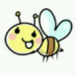 11939226_1011363215580785_1814075009_a