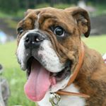 12142114_1038188282944090_1603178916_a