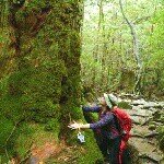 10358275_696028650436420_2073489249_a