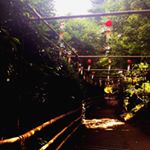 12338567_784365988376987_178838029_a