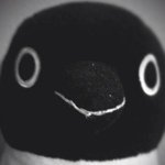 11820739_103919796625917_1261283802_a