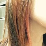 12142227_532884450203740_1381599846_a